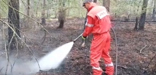 Płonął las w Dziuplinie. Trwa jego dogaszanie