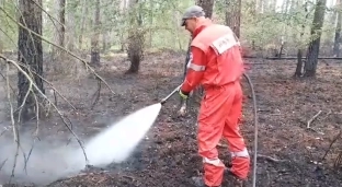 Płonął las w Dziuplinie. Trwa jego dogaszanie