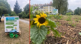 Konewki już są, możecie podlewać