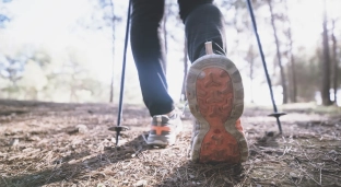 Drużynowe Mistrzostwa Polski Niewidomych i Słabowidzących w Nordic Walking